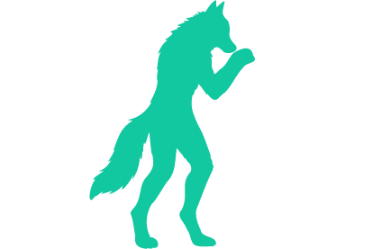Vidéographie